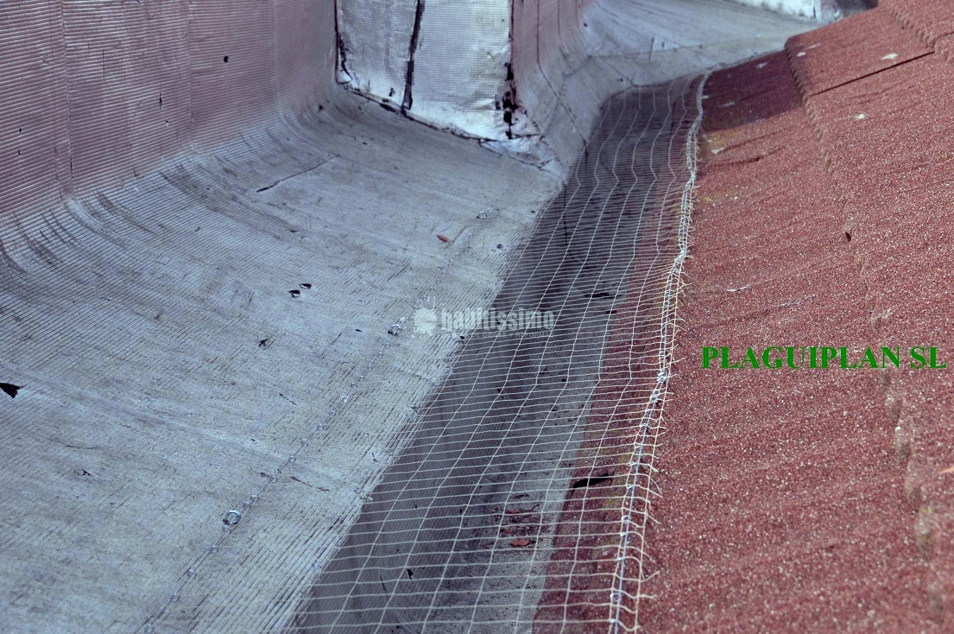 Control Plagas, Limpieza, Desinfección