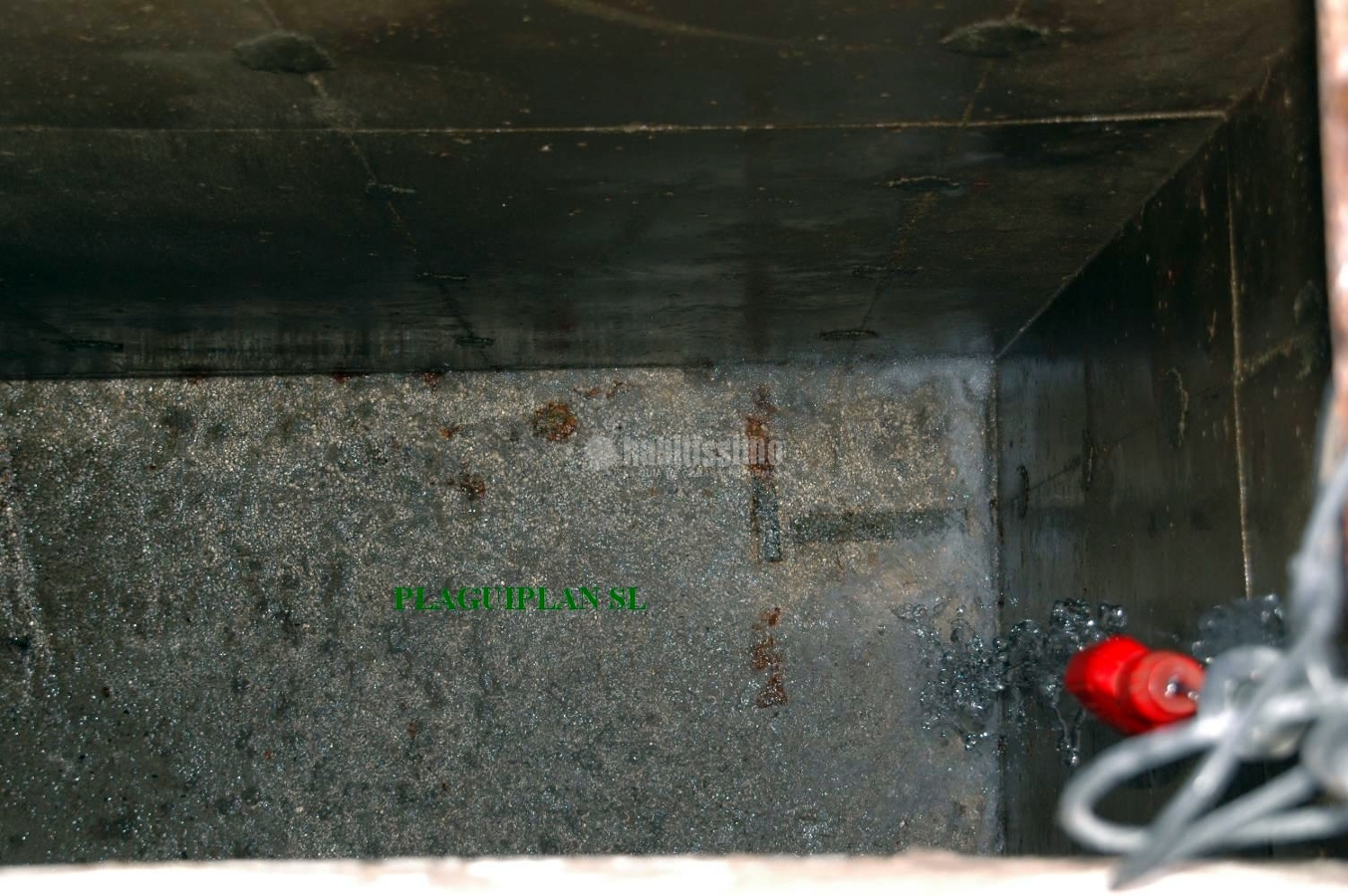 Control Plagas, Desinfección, Limpieza