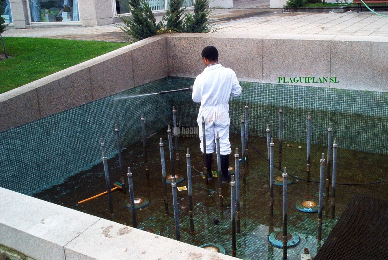 Control Plagas, Limpieza, Desinfección