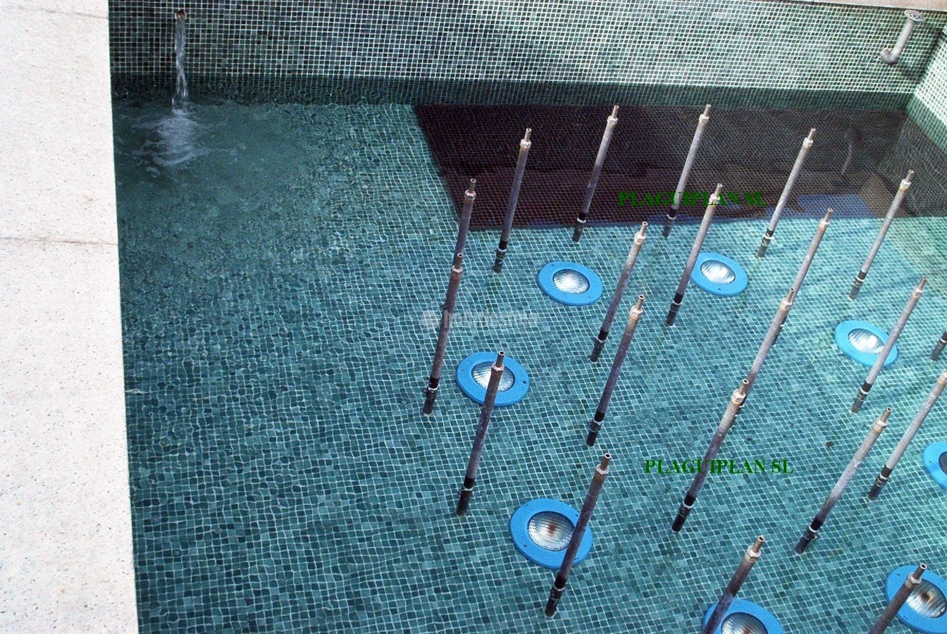 Control Plagas, Limpieza, Desinfección