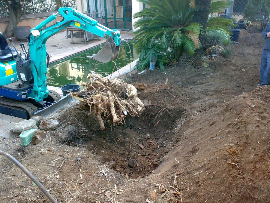 Jardineros, Talas, Piscinas