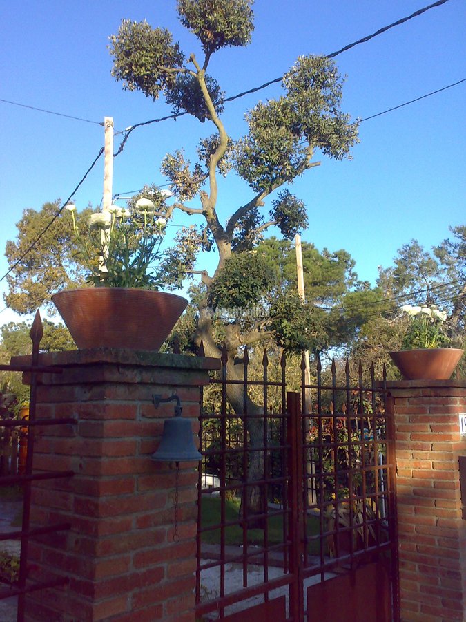 Jardineros, Jardín, Construcción Piscinas
