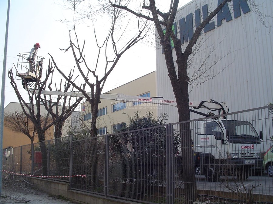 Jardineros, Jardín, Construcción