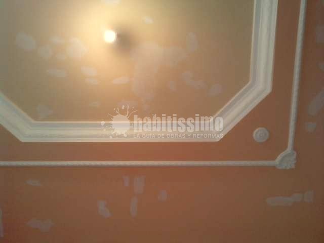 Pintores, Artículos Decoración, Pintura Industrial