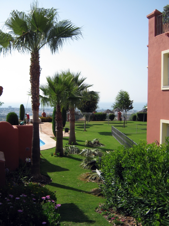 Mantenimiento de piscinas y jardines