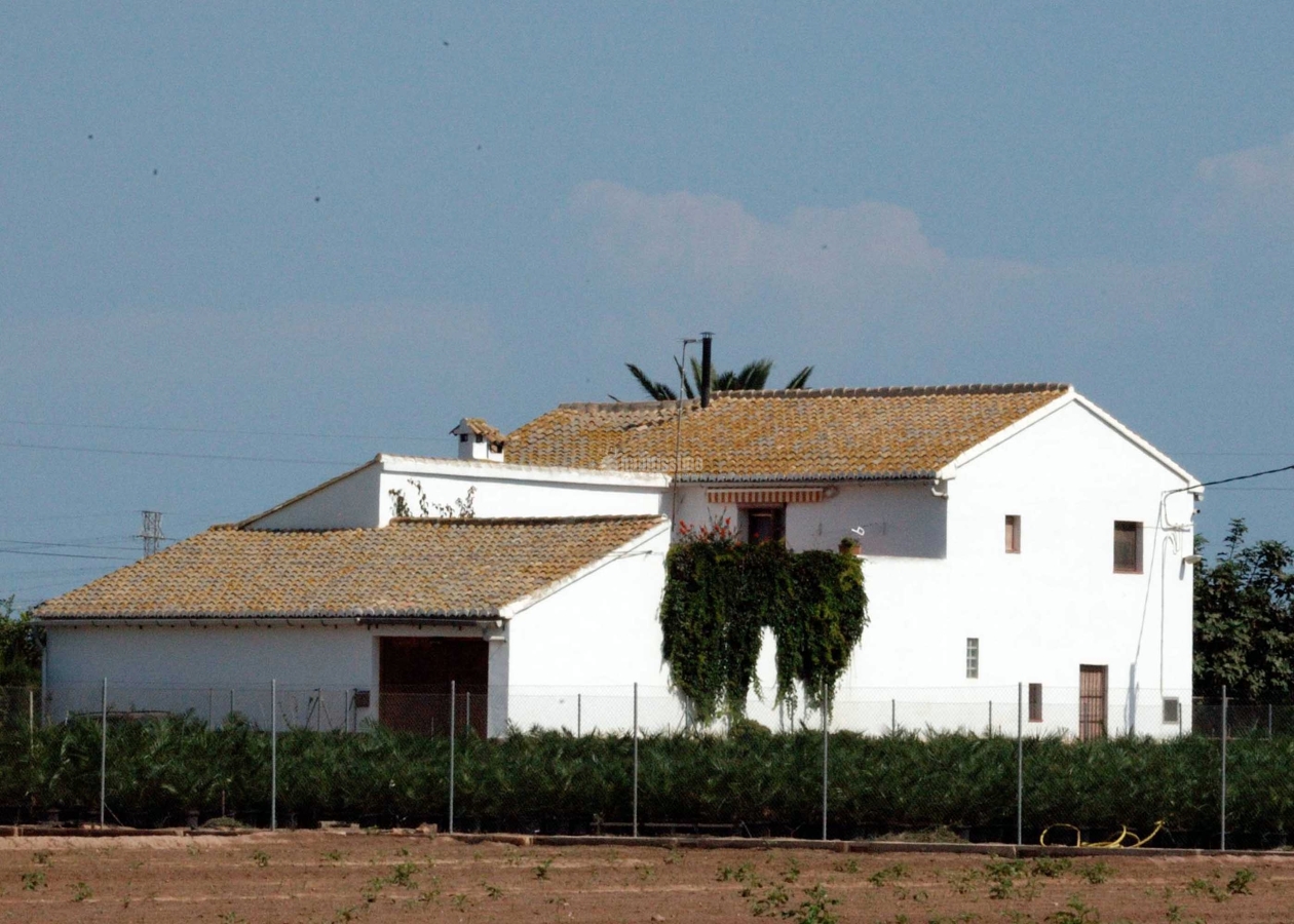 Arquitectos, Reforma, Paisajismo