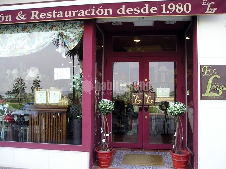 Artículos Decoración, Decoración, Papel Pintado