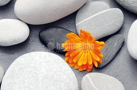 Fotomural Heart Among Stones 