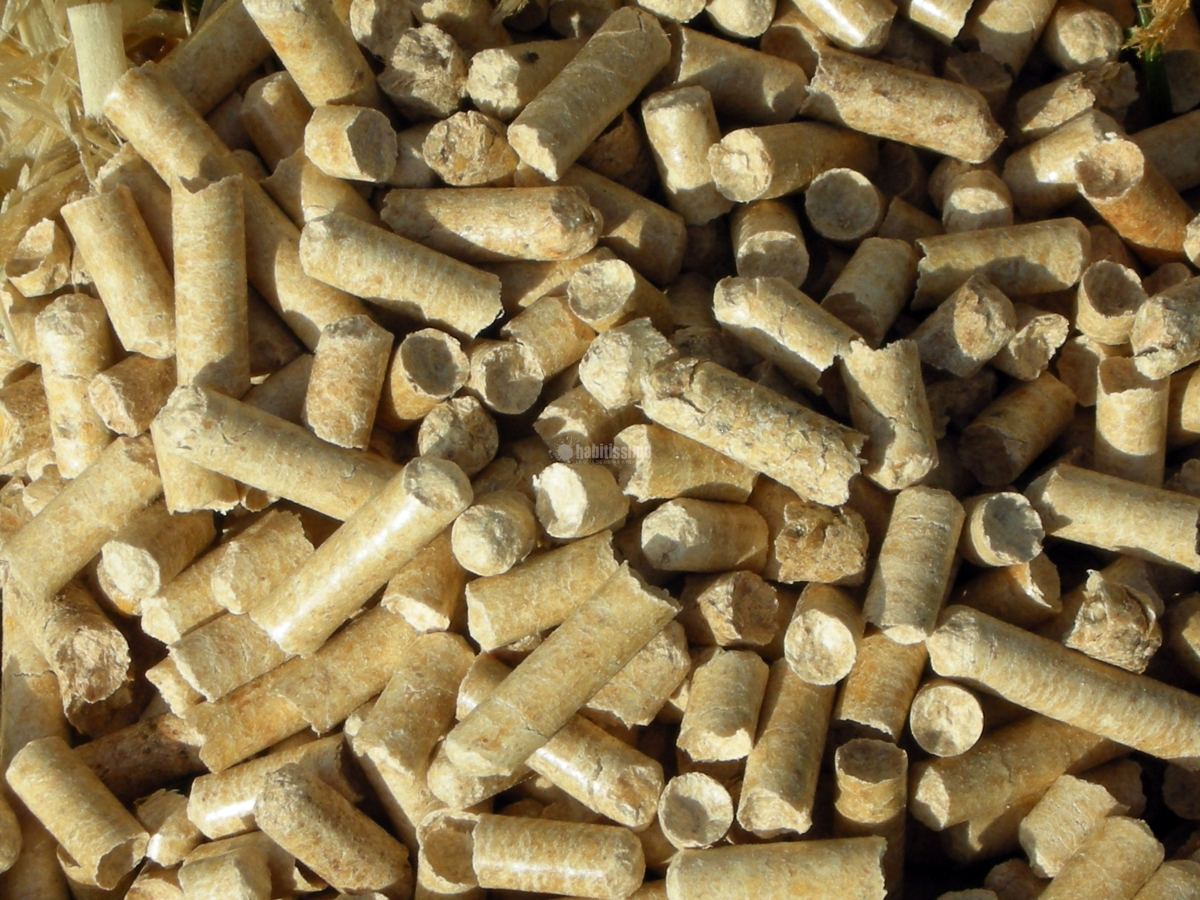 Electricistas, Energías Renovables, Eficiencia Energetica