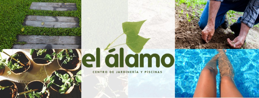 El Alamo