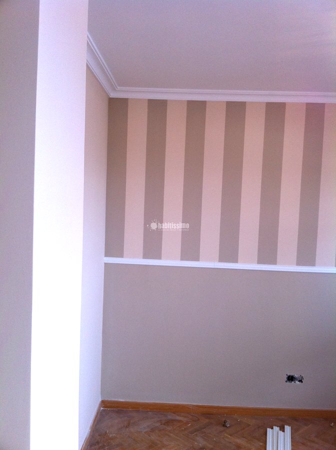 Albañiles, Reformas General, Pintura