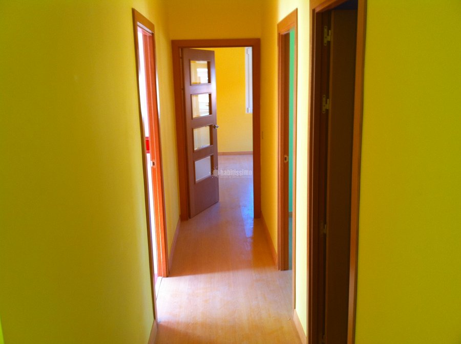 Albañiles, Pintura, Reforma Baño