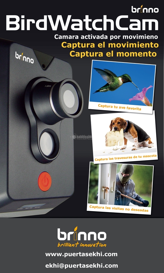 Carpintería Madera, Interiores, Escaleras