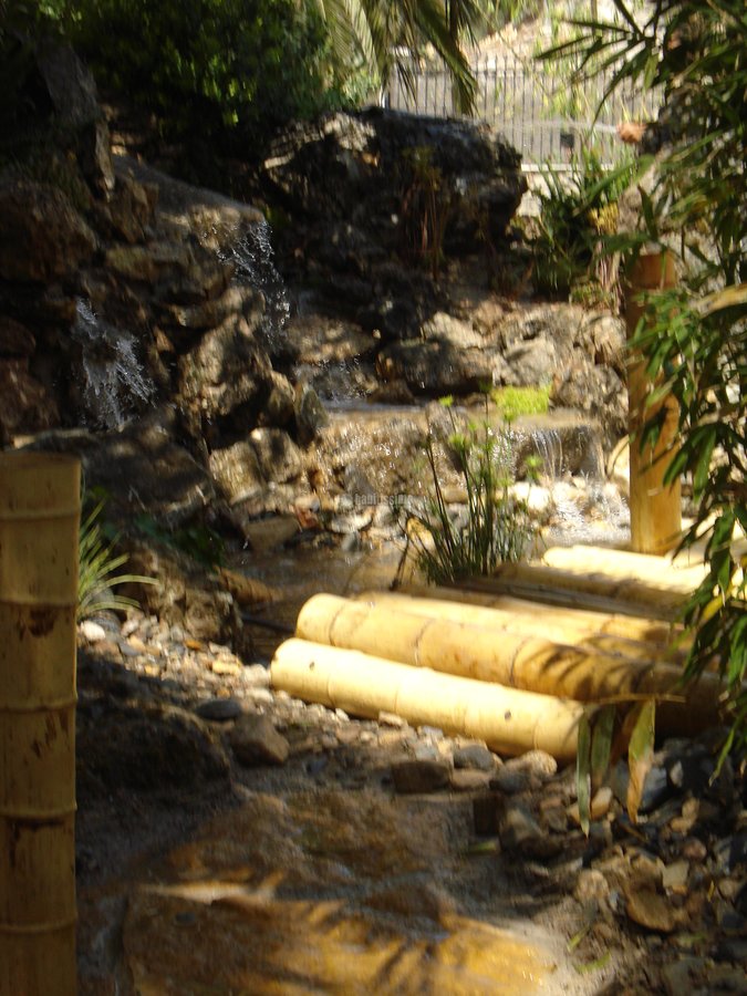 Paisajistas, Artículos Decoración, Técnicos