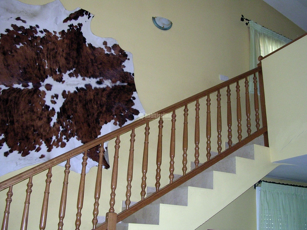 Decoradores, Técnicos, Artículos Decoración