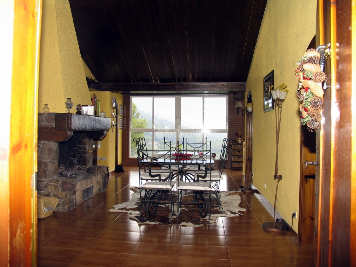 Decoradores, Técnicos, Artículos Decoración