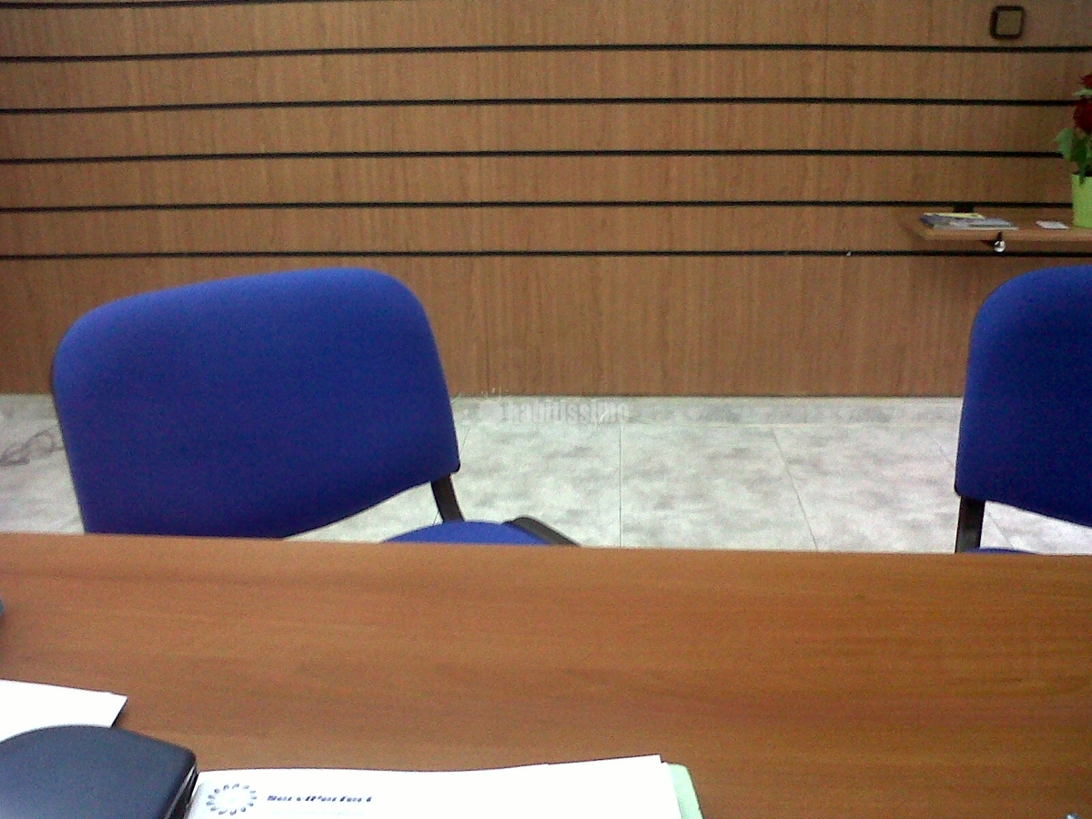 Limpieza, Mantenimiento Jardines, Servicio Plancha