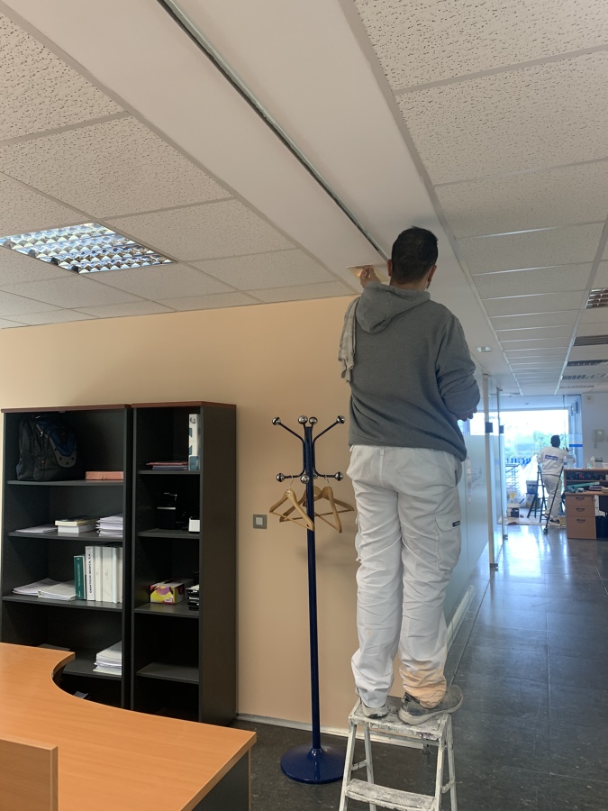 Pintado oficinas