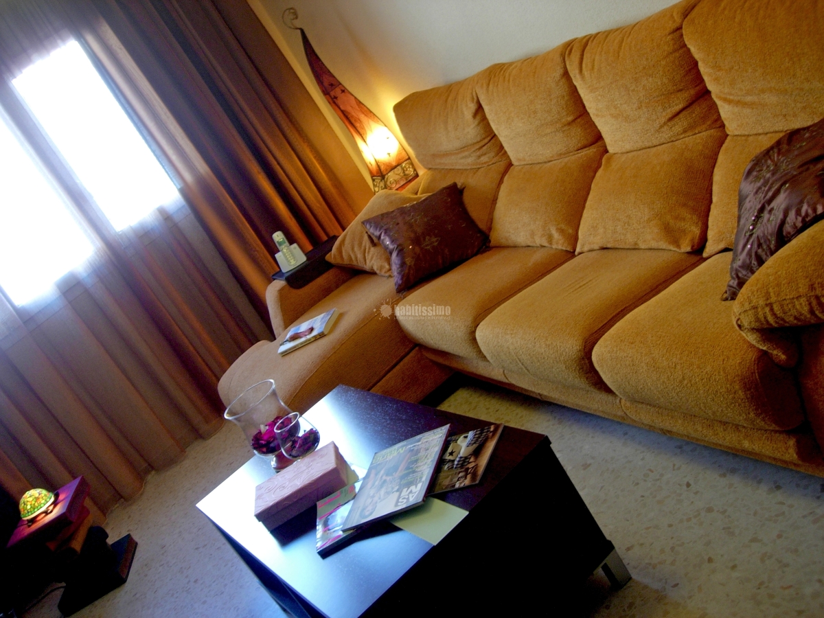 Decoradores, Técnicos, Interioristas