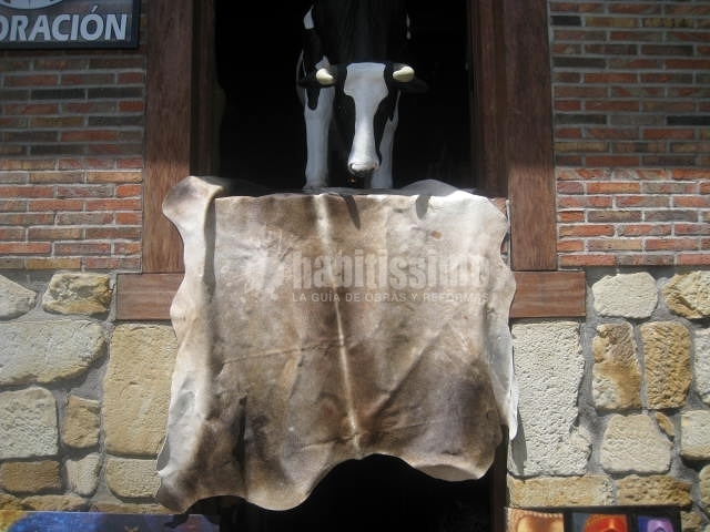 Muebles, Artículos Decoración, Decoración