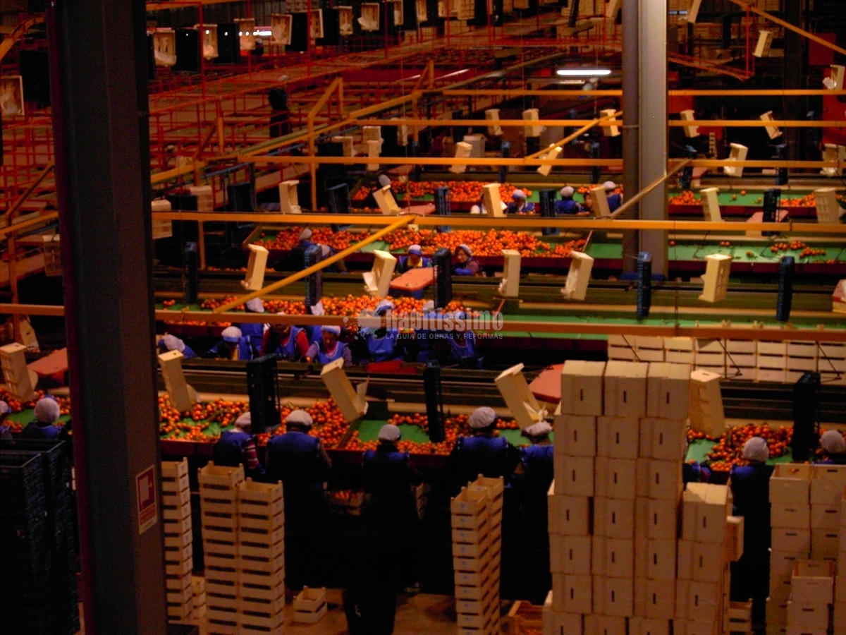 Limpieza, Desinsectación, Control Plagas