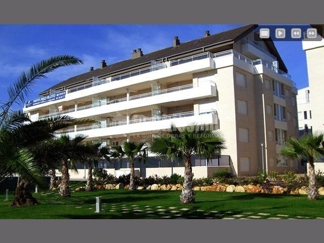 Limpieza, Desinsectación, Control Plagas