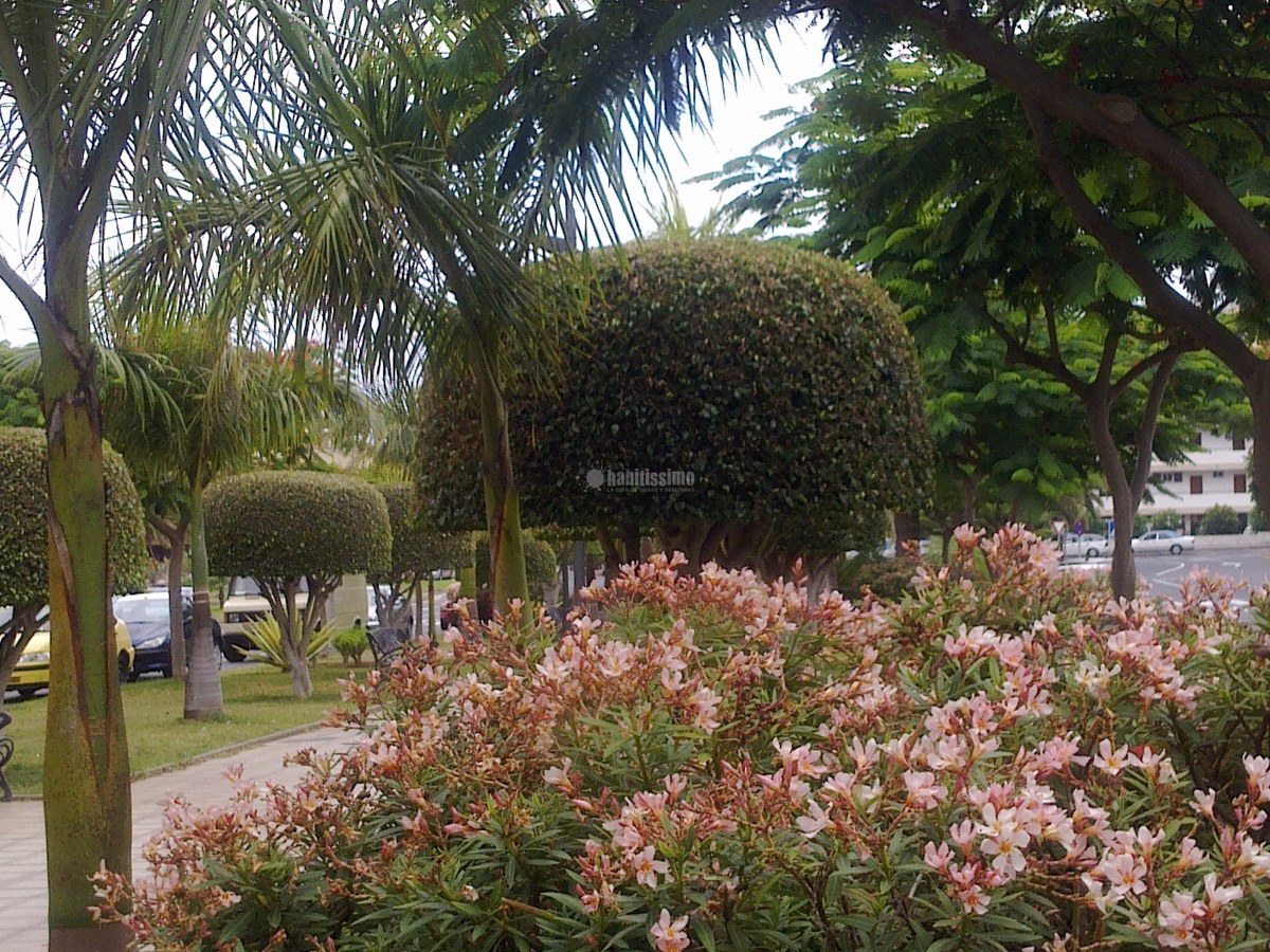 Jardineros, Pérgolas, Mantenimiento Piscinas