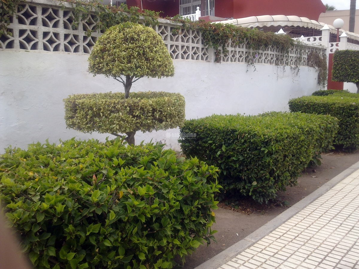 Jardineros, Mantenimiento Piscinas, Mantenimiento Comunidades