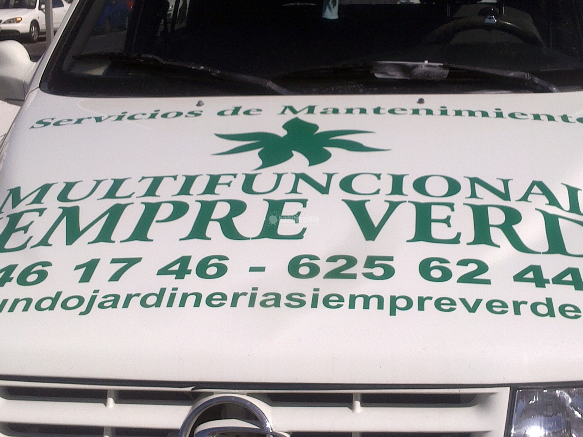 Jardineros, Mantenimiento Piscinas, Mantenimiento Comunidades