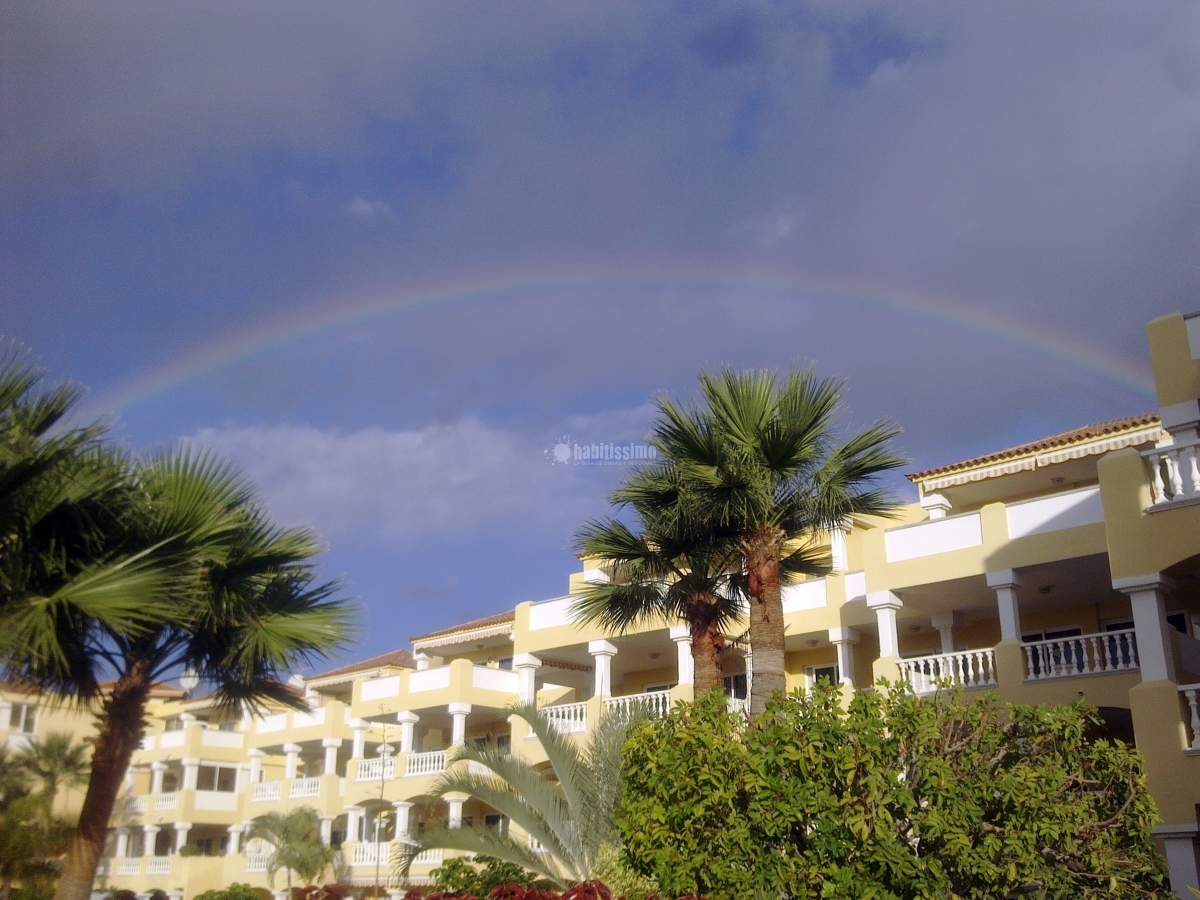 Jardineros, Mantenimiento Piscinas, Mantenimiento Comunidades