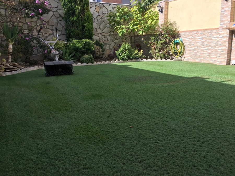 Limpieza de césped artificial