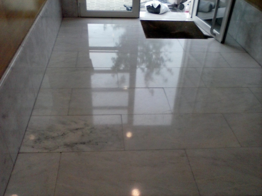 abrillantado palmera montero