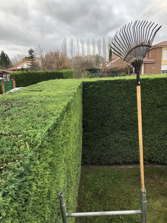 TRABAJOS DE PODA EN JARDIN EN VALLADOLID
