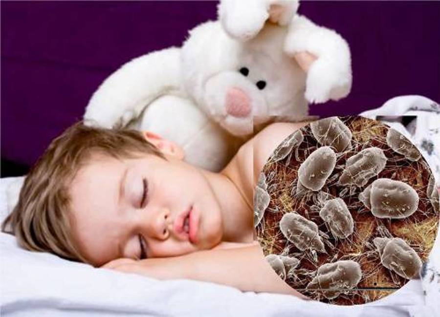 PROTEGEMOS TU SALUD.