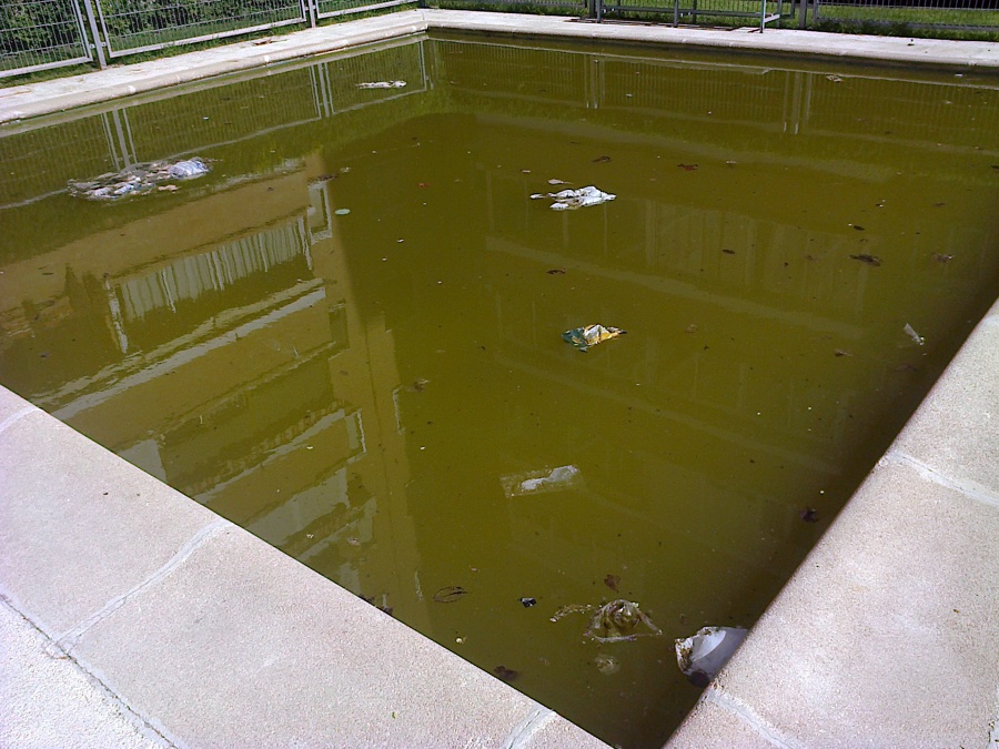 agua verde piscina infantil comunidad
