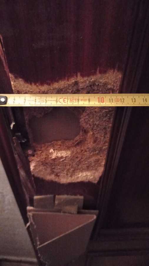 Por dentro aun tenia mas hueco