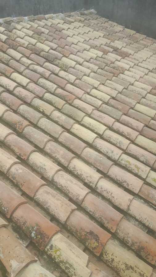 retejado y rejuntado