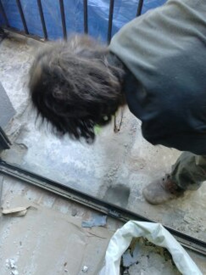 Albañileria/impermeabilizar