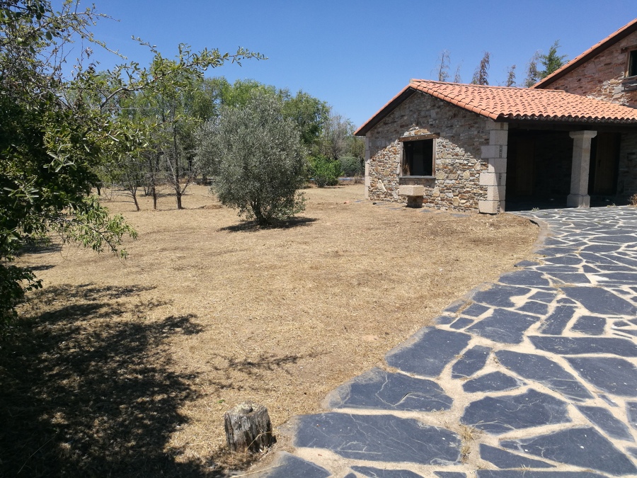 Desbroce Aldea del Fresno