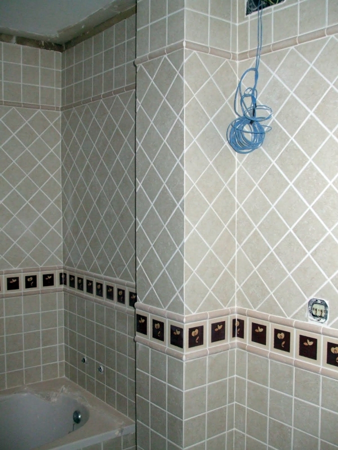 ALICATADOS DE CUALQUIER TIPO