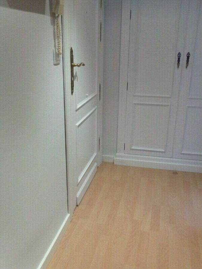 ALISADO, COLOCACIÓN DE TARIMA Y PUERTAS