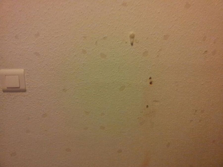 Alisado de pared de habitacion