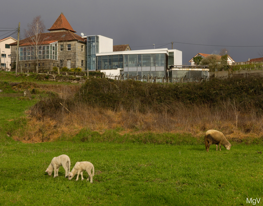 AMPLIACION CONCELLO SOUTOMAIOR