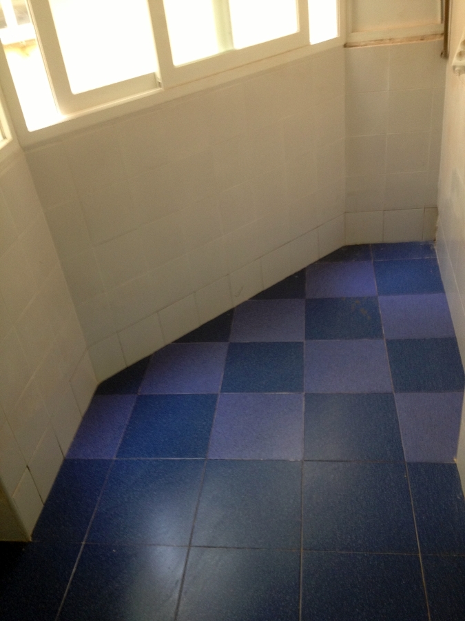 ampliación de cocina con tendedero