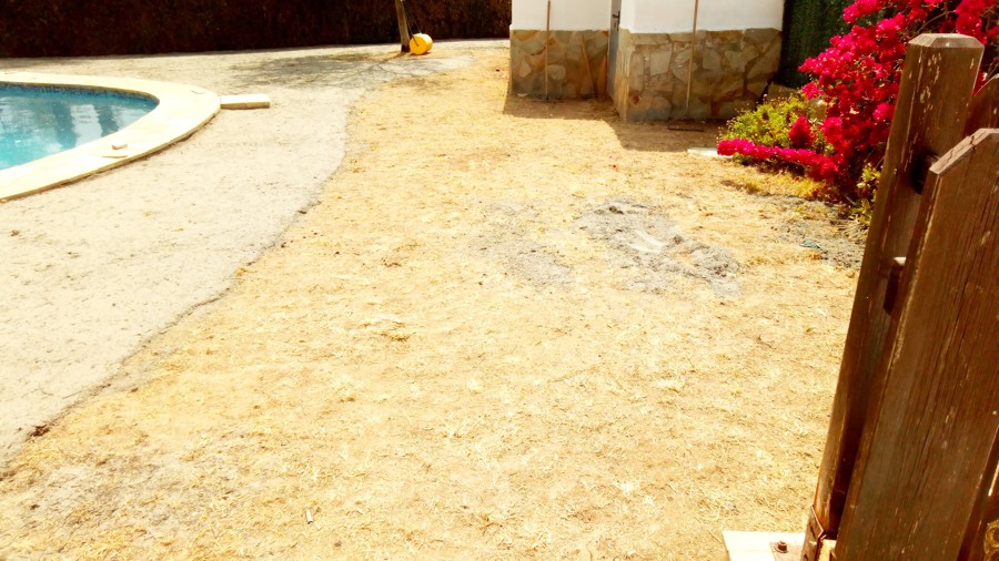 Siembra de cesped y proyecto de un camino de piedra