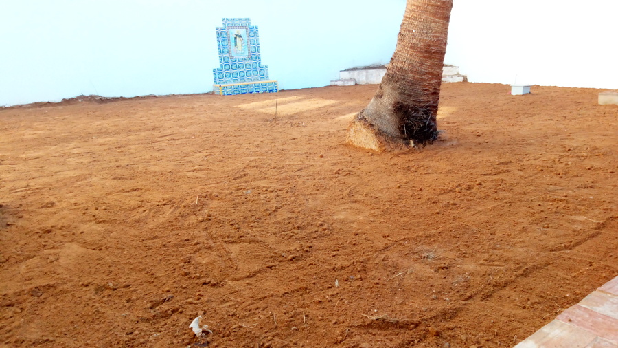 Antes(Cesped recien sembrado)