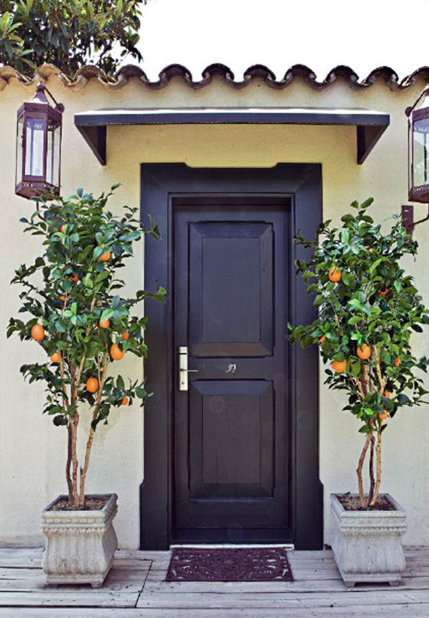 Árboles con Frutas Artificiales - Naranjo