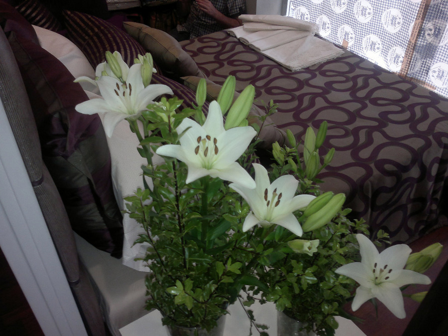 arquitectura del interior