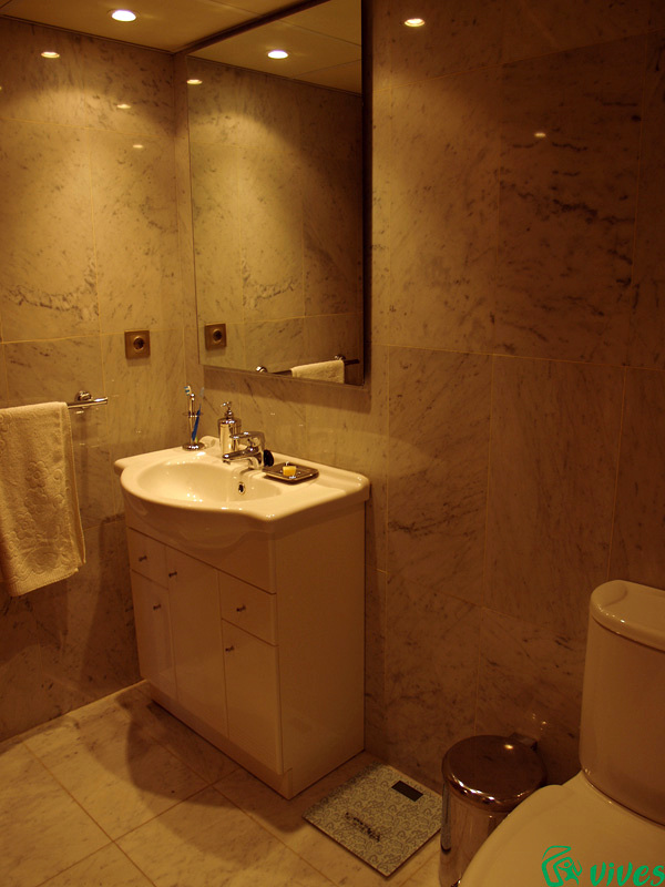 Aseo completamente equipado con alicatados de mármol reformado en Zaragoza