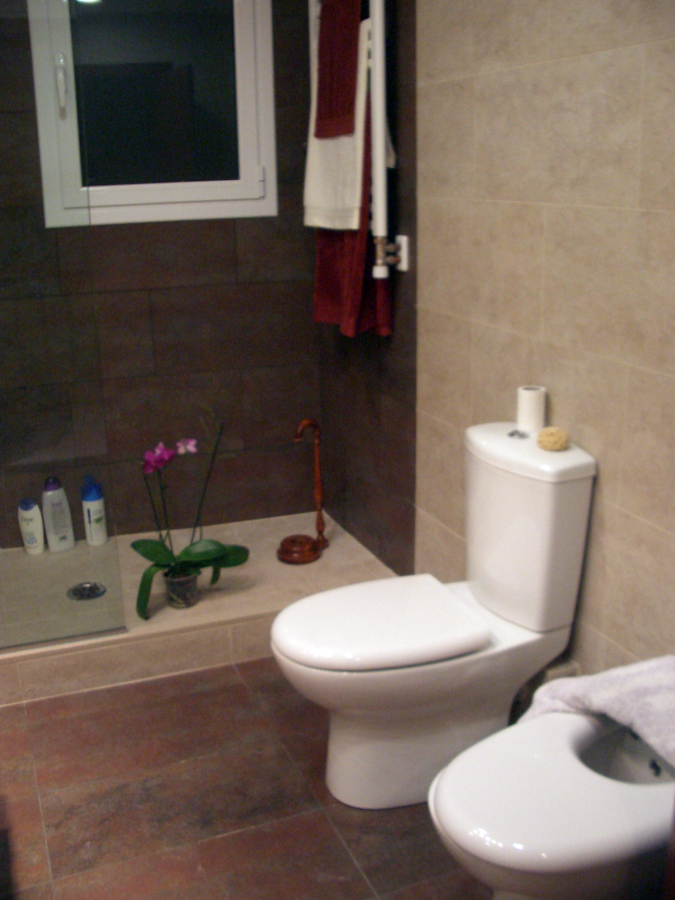 Baño con ducha de obra.